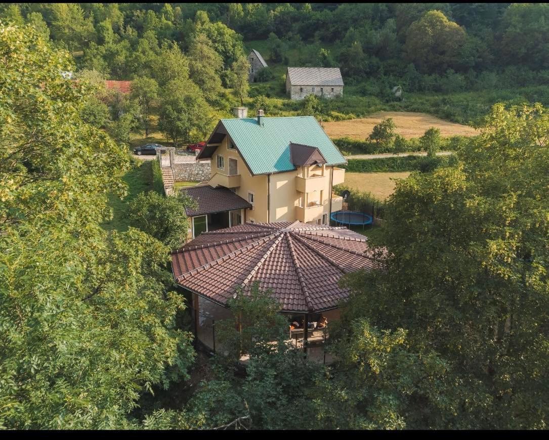 Family Spa Apartments Sunny&Shiny Savnik エクステリア 写真